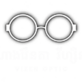 cropped logo vizenoptic.png